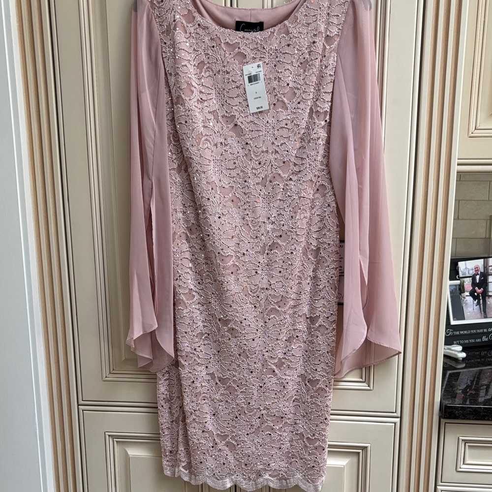 Connected Apparel Blush Lace Long Sleeve Dress size 4 New